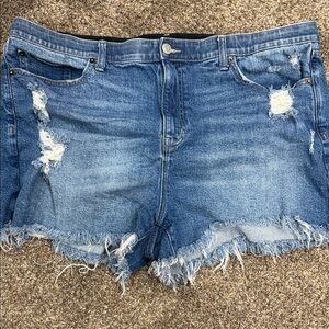Torrid Blue Distressed Jean Shorts